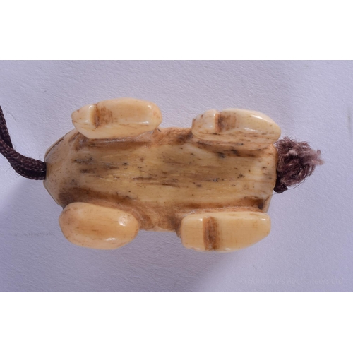 1236 - A 19TH CENTURY JAPANESE MEIJI PERIOD CARVED BONE NETSUKE TOGGLE modelled as a toad. 3.5 cm x 1.5 cm.