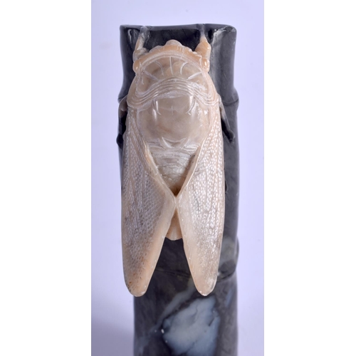 1358 - AN EARLY 20TH CENTURY CHINESE CARVED SOAPSTONE CARVED BAMBOO SHOOT overlaid with an insect. 13 cm hi... 