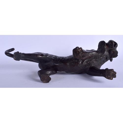 1404 - A 19TH CENTURY JAPANESE MEIJI PERIOD BRONZE OKIMONO OF A TIGER modelled roaming with glass eyes. 50 ... 