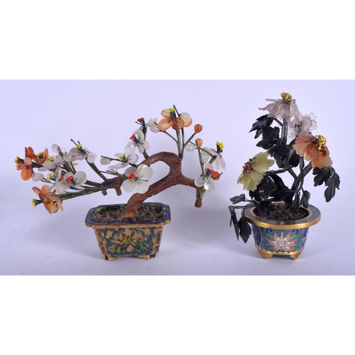 1428 - TWO EARLY 20TH CENTURY CHINESE CLOISONNÉ ENAMEL BONSAI TREES. Largest 14 cm x 12 cm. (2)