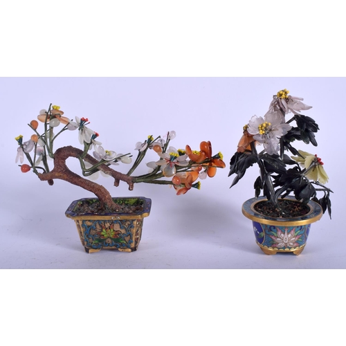 1428 - TWO EARLY 20TH CENTURY CHINESE CLOISONNÉ ENAMEL BONSAI TREES. Largest 14 cm x 12 cm. (2)