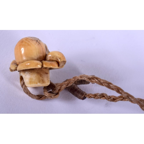 1431 - A 19TH CENTURY JAPANESE MEIJI PERIOD CARVED IVORY NETSUKE in the form of an octopus. 1 cm wide.