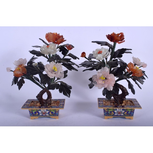 1468 - A PAIR OF EARLY 20TH CENTURY CHINESE CLOISONNE ENAMEL BONSAI TREES with hardstone emerging foliage. ... 