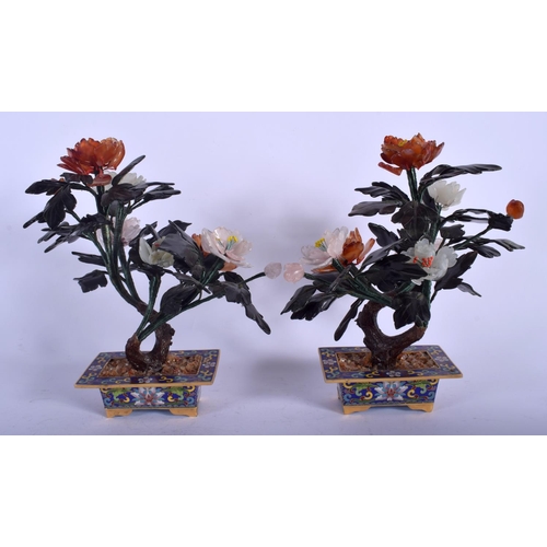 1468 - A PAIR OF EARLY 20TH CENTURY CHINESE CLOISONNE ENAMEL BONSAI TREES with hardstone emerging foliage. ... 