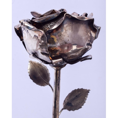 2022 - A VERY RARE VINTAGE CONTINENTAL SILVER ROSE of naturalistic form. 258 grams. 50 cm x 12 cm.