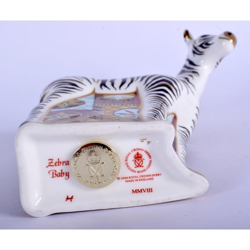 203 - Royal Crown Derby paperweight of a Zebra Baby, gold stopper. 13 cm high.