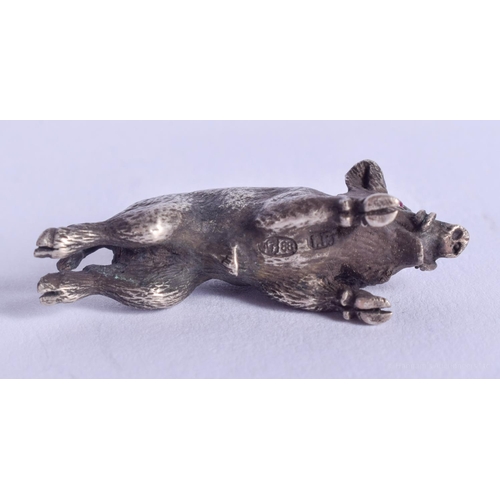 2169 - A SMALL CONTINENTAL SILVER HOG with ruby eyes. 16 grams. 3 cm x 0.5 cm.