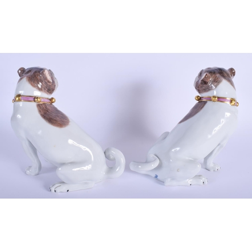 225 - A PAIR OF EARLY 20TH CENTURY DRESDEN PORCELAIN FIGURES OF PUG DOGS Meissen style. 21 cm x 13 cm.