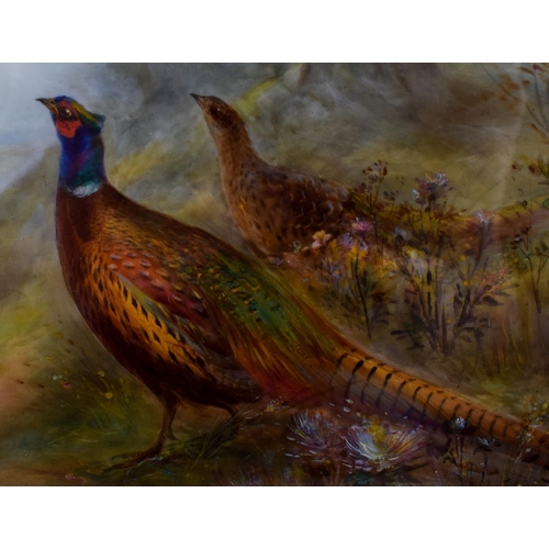 234 - A FINE ANTIQUE ROYAL WORCESTER PORCELAIN PLAQUE by James Stinton, depicting pheasants. Image 30 cm x... 