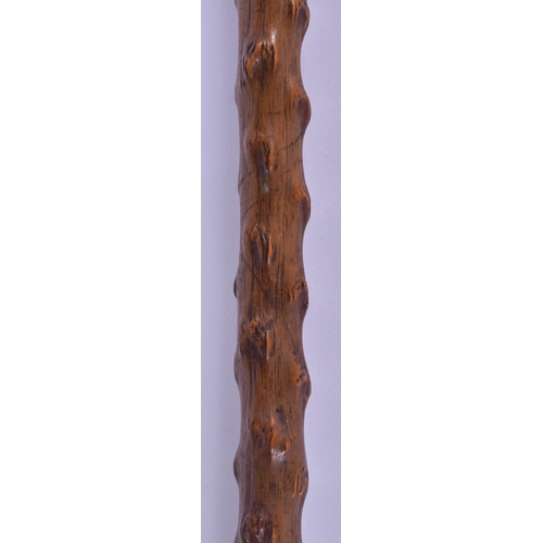 309 - A 19TH CENTURY CONTINENTAL CARVED RHINOCEROS HORN WALKING CANE. 80 cm long.