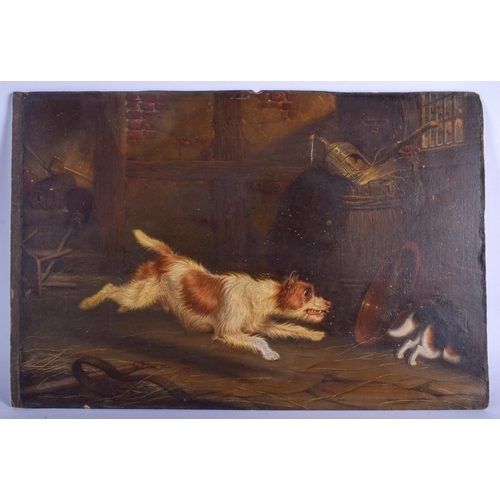 364 - English School (19th Century) Oil on board, Dogs at the farm. Largest 45 cm x 26 cm. (3)