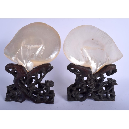 1183 - A PAIR OF 19TH CENTURY CHINESE MOTHER OF PEARL CANTON SHELLS upon fitted hardwood bases. 27 cm x 14 ... 