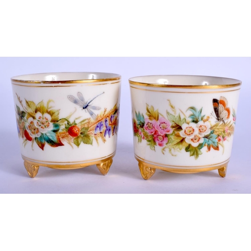 135 - A PAIR OF ANTIQUE ROYAL WORCESTER CIRCULAR SALTS painted with butterflies and foliage. 6 cm wide.