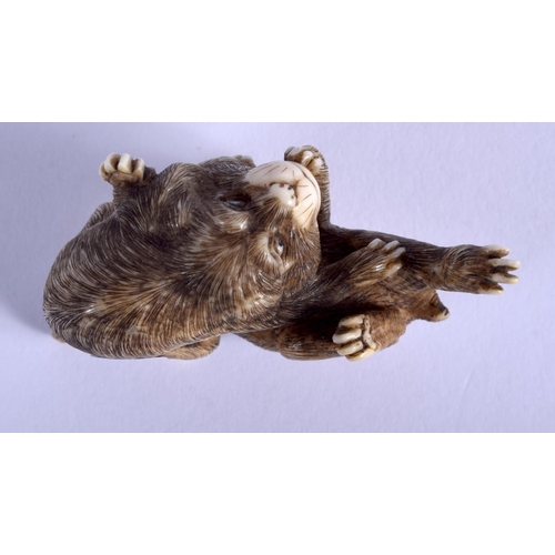 1412 - A GOOD 19TH CENTURY JAPANESE MEIJI PERIOD CARVED IVORY NETSUKE modelled as puppies playing. 3.5 cm x... 