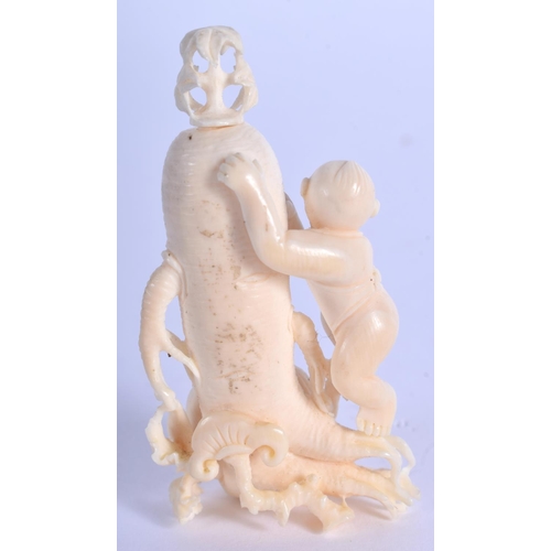 1418 - A 19TH CENTURY CHINESE CARVED IVORY SNUFF BOTTLE in the form of a giant radish. 5.5 cm x 2.5 cm.