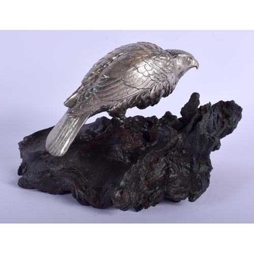 1494 - A 19TH CENTURY JAPANESE MEIJI PERIOD SILVERED METAL OKIMONO OF A HAWK modelled upon a wooden plinth.... 