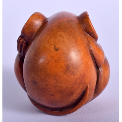 1516 - AN EARLY 20TH CENTURY JAPANESE CARVED BOXWOOD NETSUKE modelled as a coiled rat. 4 cm x 3.5 cm.