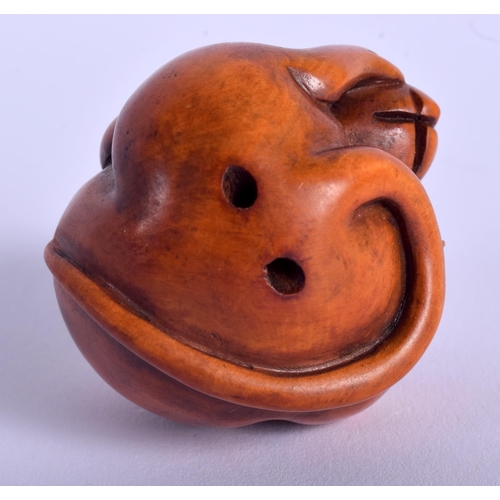 1516 - AN EARLY 20TH CENTURY JAPANESE CARVED BOXWOOD NETSUKE modelled as a coiled rat. 4 cm x 3.5 cm.