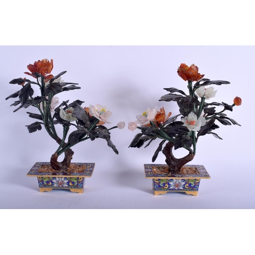 1535 - A PAIR OF EARLY 20TH CENTURY CHINESE CLOISONNE ENAMEL BONSAI TREES with hardstone emerging foliage. ... 