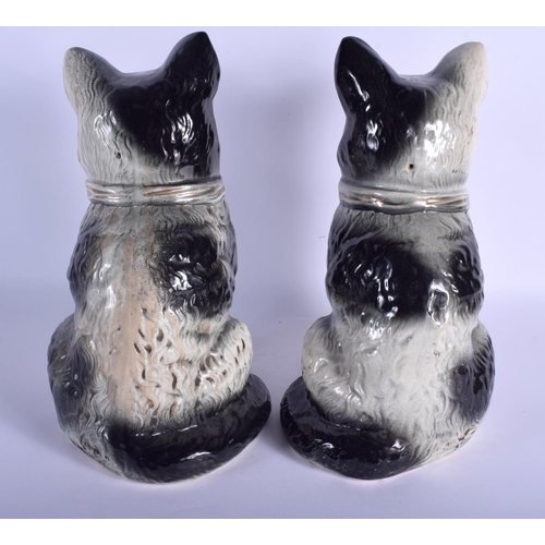 191 - A LARGE PAIR OF 19TH CENTURY CONTINENTAL POTTERY CATS modelled in gilt bow ties. 34 cm high.