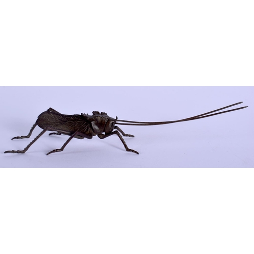 2171 - A JAPANESE LOCUST BRONZE OKIMONO. 15.5 cm long.