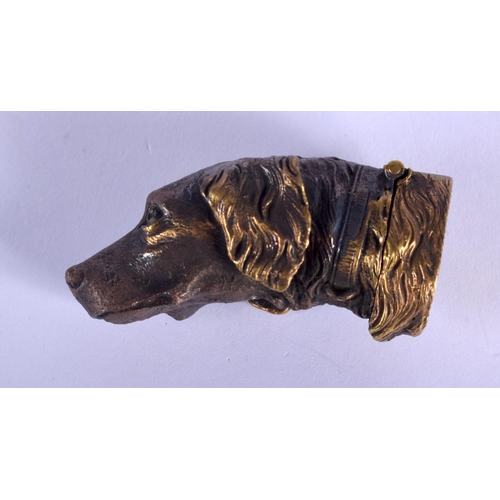 2196 - A BRASS DOG VESTA CASE. 4.5 cm wide