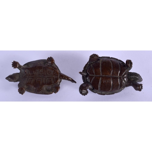 2205 - TWO JAPANESE BRONZE TORTOISE OKIMONO. 3.5 cm wide. (2)