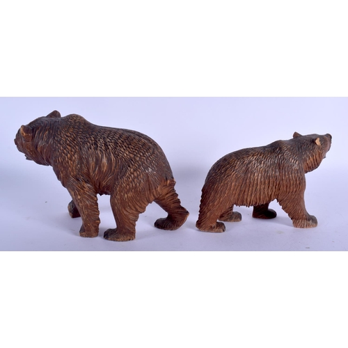 2293 - A PAIR OF EARLY 20TH CENTURY BAVARIAN BLACK FOREST BEARS. 21 cm x 12 cm.