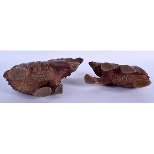 2293 - A PAIR OF EARLY 20TH CENTURY BAVARIAN BLACK FOREST BEARS. 21 cm x 12 cm.