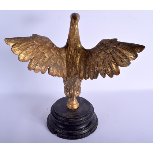 2318 - A LOVELY LARGE 18TH/19TH CENTURY EUROPEAN CARVED GILTWOOD EAGLE modelled upon an ebonised plinth. Ea... 