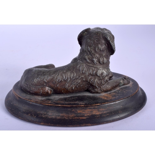 2349 - A 19TH CENTURY FRENCH SPELTER FIGURE OF A HOUND modelled recumbent. 12 cm wide.