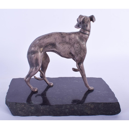 2370 - A 19TH CENTURY FRENCH SILVERED BRONZE FIGURE OF A WHIPPET After Pierre Jules Mene, modelled upon a s... 