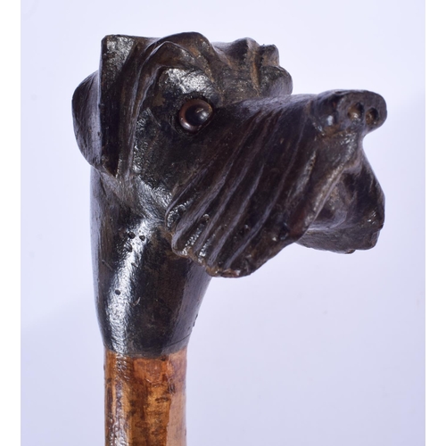 2458 - A VINTAGE BLACK FOREST BAVARIAN DOG HEAD WALKING CANE. 80 cm long.