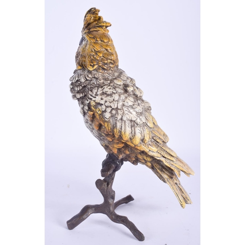 2486 - A LARGE CONTEMPORARY COLD PAINTED BRONZE PARAKEET. 31 cm high.