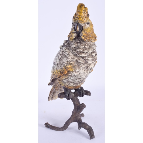 2486 - A LARGE CONTEMPORARY COLD PAINTED BRONZE PARAKEET. 31 cm high.