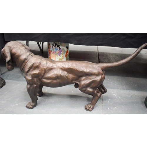 2507 - A LARGE CONTEMPORARY BRONZE FIGURE OF A HOUND. 104 cm x 50 cm.