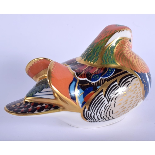 364 - Royal Crown Derby paperweight of a Mandarin Duck. 13cm wide