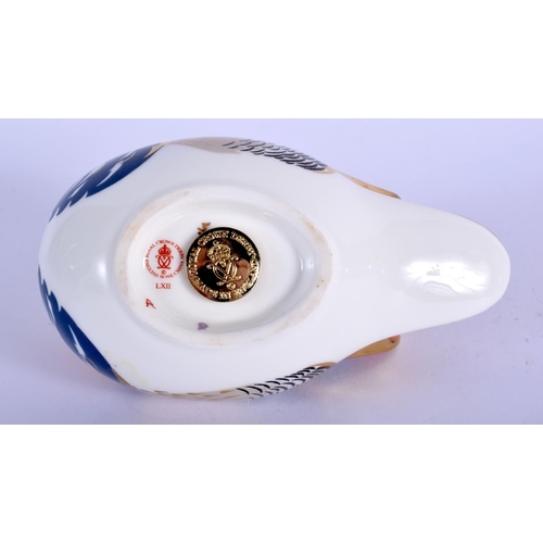 364 - Royal Crown Derby paperweight of a Mandarin Duck. 13cm wide