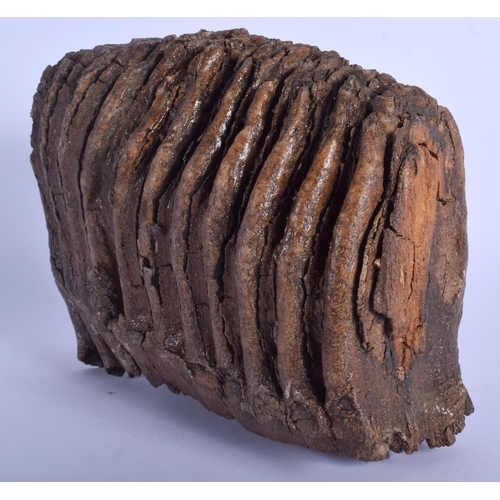 414 - A LARGE EARLY MAMMOTH TOOTH SCHOLARS ROCK. 20 cm x 16 cm.