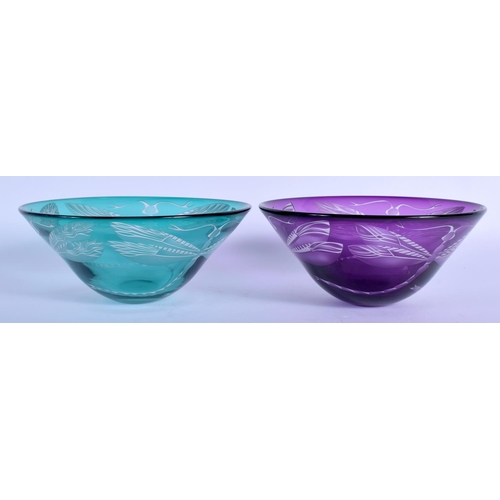 46 - Julia Linstead, Pair of glass bowls, Dragonflies. 14.5 cm diameter.