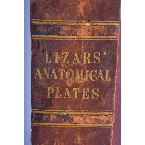 485 - Lizars Anatomical Plates, Human Body, Single edition. 45 cm x 30 cm.