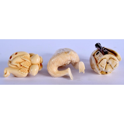 1135 - AN EARLY 20TH CENTURY JAPANESE MEIJI PERIOD CARVED IVORY NETSUKE together with two others. Largest 5... 