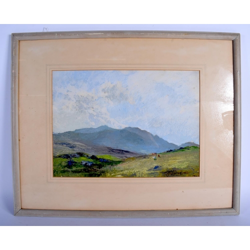 530 - Nan C Livingstone (Born 1876) Scottish, Oil, Pair of landscapes. Image 35 cm x 26 cm.