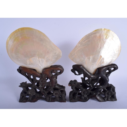 1183 - A PAIR OF 19TH CENTURY CHINESE MOTHER OF PEARL CANTON SHELLS upon fitted hardwood bases. 27 cm x 14 ... 