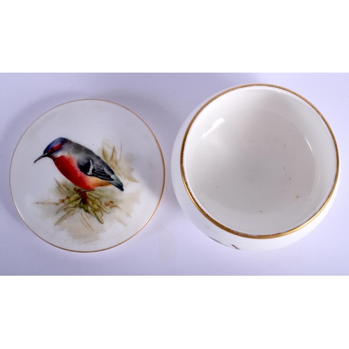 61 - A ROYAL WORCESTER PORCELAIN BOX AND COVER painted with a bird. 8 cm wide.