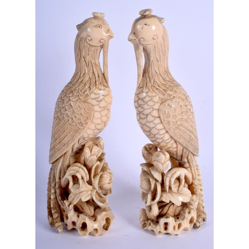 1340 - A PAIR OF 18TH CENTURY CHINESE CARVED IVORY FIGURE OF PHOENIX BIRDS Qianlong. 15 cm high.