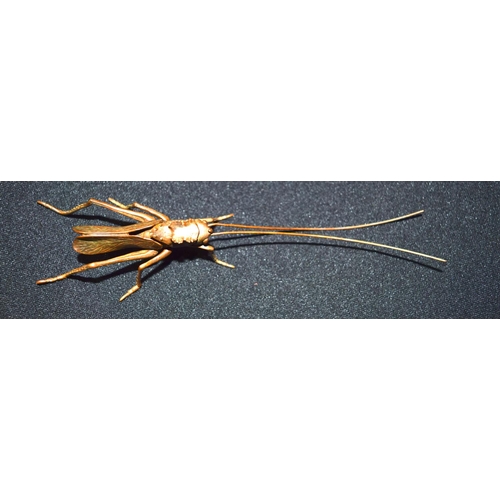 3312 - A small bronze Japanese  Grass hopper 15 cm