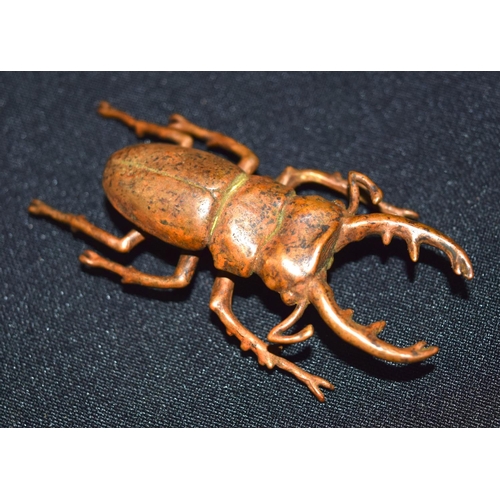 3353 - A small Japanese bronze stag beetle