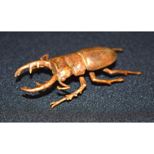 3353 - A small Japanese bronze stag beetle