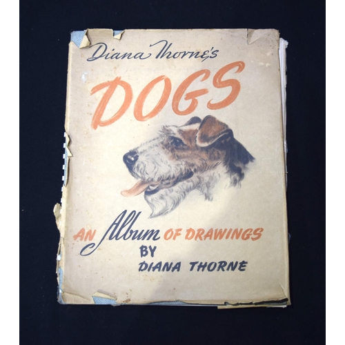 3376 - An Album of drawings of dogs by Diana Thorne